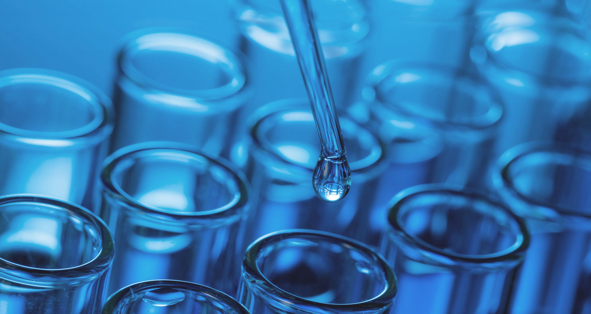 Shanghai Dongyang Biotechnology Co., Ltd